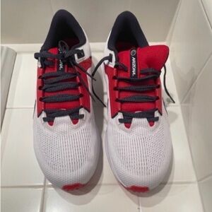 Nike Air Zoom Pegasus 40 'Arizona'